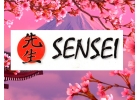 Купить кондиционеры Sensei в Харькове