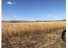 Продажа земельного участка 44 ГА на Кавминводах